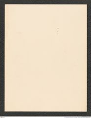 k.k. naturhistorisches Hofmuseum, Intendanzakten 1885-1896 (Hauer), Aktenzahl Z.382/1889, Seite 2